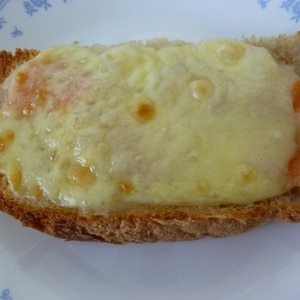 朝食に(/・ω・)/余ったシチューチーズトースト☆